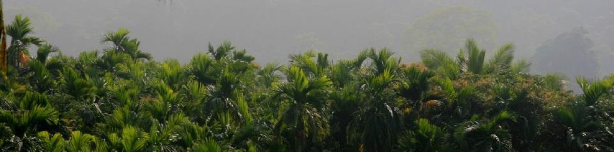 Pocztówki z południa